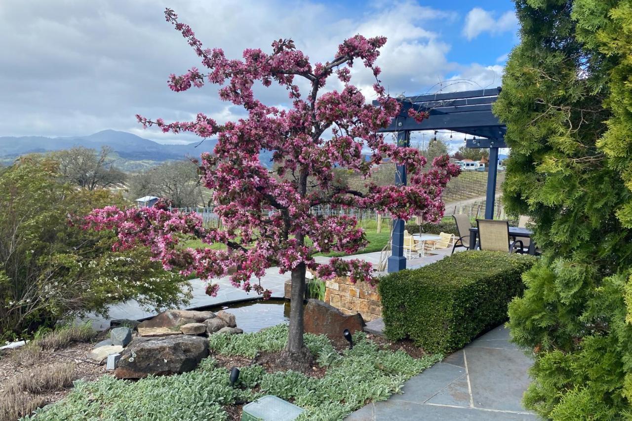 Alexander Valley Retreat Healdsburg Eksteriør billede