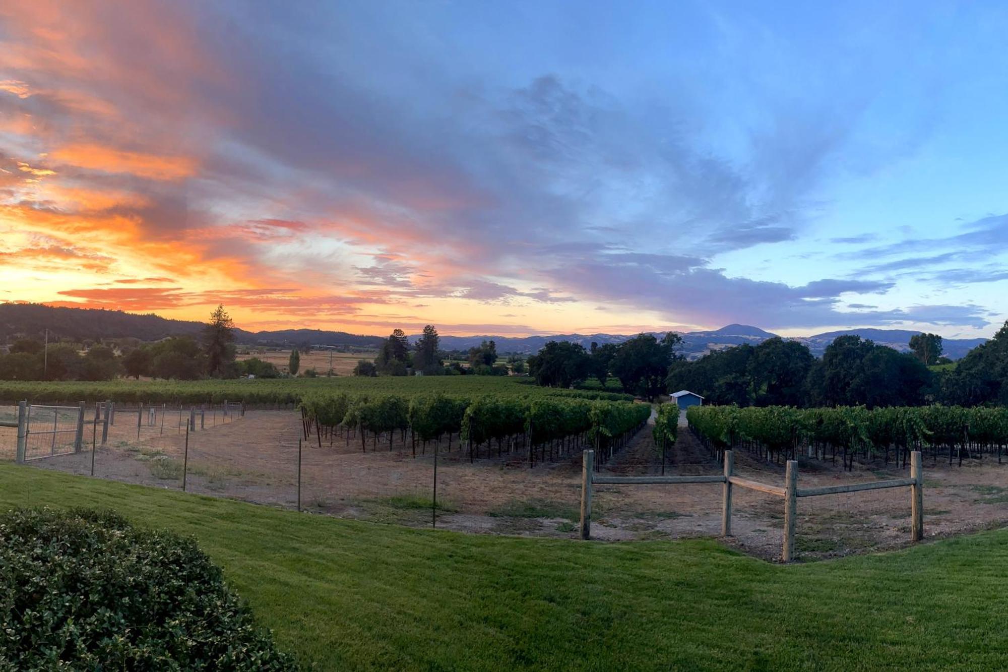 Alexander Valley Retreat Healdsburg Eksteriør billede